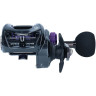 Катушка DAIWA Prorex TWS 400PL-P 10704-001