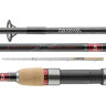 Удилище карповое DAIWA Regal B carp 3,90м 3,5lbs 11573-395